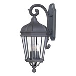 Harrison Outdoor Wall Light - Black / Clear