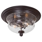 Merrimack Outdoor Ceiling Flush Mount - Bronze / Clear