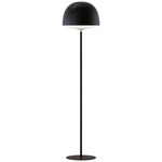 Cheshire Floor Lamp - Black