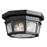 Courtyard Outdoor Flush Mount - Textured Black / Etched Seedy