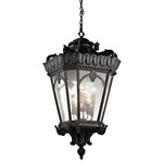 Tournai Outdoor Pendant - Black / Clear Seeded