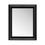 Francois Ghost Wall Mirror - Heavy Black / Mirror