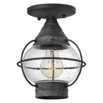 Cape Cod Outdoor Flush Light - Zinc / Clear Seedy