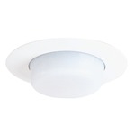 11 Series 4 Inch Drop Opal Lensed Trim - White