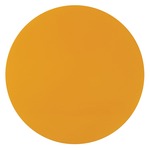 T74 2 Inch Colored Glass Filter - Amber