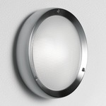 Niki Outdoor Wall / Ceiling Light - Satin / Prismatic