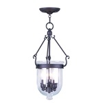 Jefferson 10 Inch Pendant - Clear / Bronze
