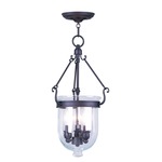 Jefferson 10 Inch Pendant - Clear/ Bronze