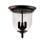 Legacy Ceiling Mount - Clear / Bronze