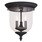 Legacy Ceiling Mount - Clear/ Black