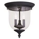 Legacy Ceiling Mount - Clear / Black