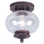 Harbor Ceiling Mount - Bronze / Clear