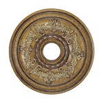 22 Inch Ceiling Medallion - Venetian Patina