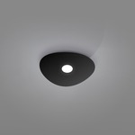 Scudo Ceiling Light Fixture - Black