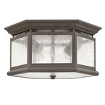 Edgewater 120V Outdoor Ceiling Light Fixture - Oil Rubbed Bronze / Clear Seedy