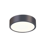 Pi Ceiling Light Fixture - Black Bronze / Frosted