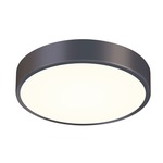 Pi Ceiling Light Fixture - Black Bronze / Frosted