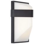 Wedge Outdoor LED Wall Sconce - Black / Etched White