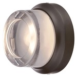 Comet Outdoor Wall / Ceiling Light - Oil Rubbed Bronze / Clear