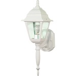 Briton Outdoor Wall Sconce - White / Clear