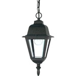 Briton Outdoor Pendant - Textured Black / Clear