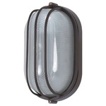 Oval Caged Outdoor Wall Light - Architectural Bronze / Frosted