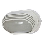 Oval Outdoor Hooded Die Cast Wall Light - Semi Gloss White / Frosted