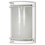 Rectangle Outdoor Wall Light - Semi Gloss White / Frosted