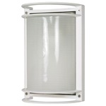 Rectangle Outdoor Wall Light - Semi Gloss White / Frosted