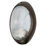 Bulkhead Outdoor Wall Light - Architectural Bronze / Clear
