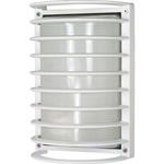Caged Rectangle Outdoor Wall Sconce - Semi Gloss White / Frosted