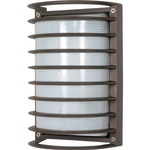 Caged Rectangle Outdoor Wall Sconce - Architectural Bronze / Frosted