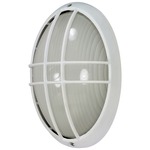 Oval Outdoor Caged Wall Light - Semi Gloss White / Frosted