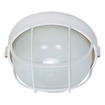 Caged Round Outdoor Wall Light - Semi Gloss White / Frosted