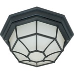 Caged Outdoor Ceiling Flush Mount - Textured Black / Frosted