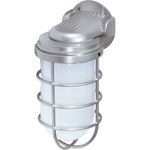 Tube Cage Outdoor Wall Sconce - Metallic Silver / Frosted
