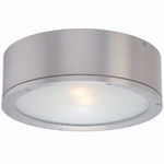 Tube Wet Rated Wall/Ceiling Light - Brushed Aluminum / Etched Glass