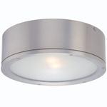 Tube Round Outdoor Wall / Ceiling Light - Brushed Aluminum / Etched Glass