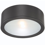 Tube Round Outdoor Wall / Ceiling Light - Black / Etched Glass