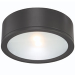 Tube Wet Rated Wall/Ceiling Light - Black / Etched Glass