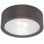 Tube Round Outdoor Wall / Ceiling Light - Bronze / Etched Glass