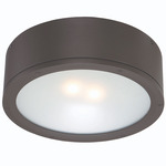 Tube Wet Rated Wall/Ceiling Light - Bronze / Etched Glass