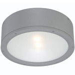 Tube Wet Rated Wall/Ceiling Light - Graphite / Etched Glass