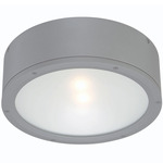 Tube Round Outdoor Wall / Ceiling Light - Graphite / Etched Glass