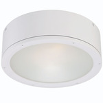 Tube Round Outdoor Wall / Ceiling Light - White / Etched Glass