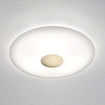 Series 3500 Wall/Ceiling Light - Solid Brushed Brass / Satin White