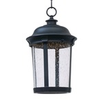 Dover LED Outdoor Pendant - Bronze / Frosted Seedy