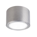 Vessel Outdoor Ceiling Light - Brushed Aluminum / Silk Screened