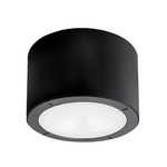 Vessel Outdoor Ceiling Light - Black / Silk Screened