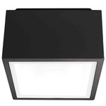 Bloc Outdoor Ceiling Light - Black / Silk Screened